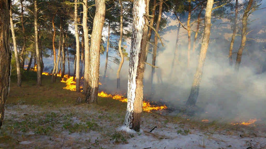 Keşan’a bağlı Sazlıdere köyü yakınlarındaki ormanlık alanda başlayan yangın, rüzgarın