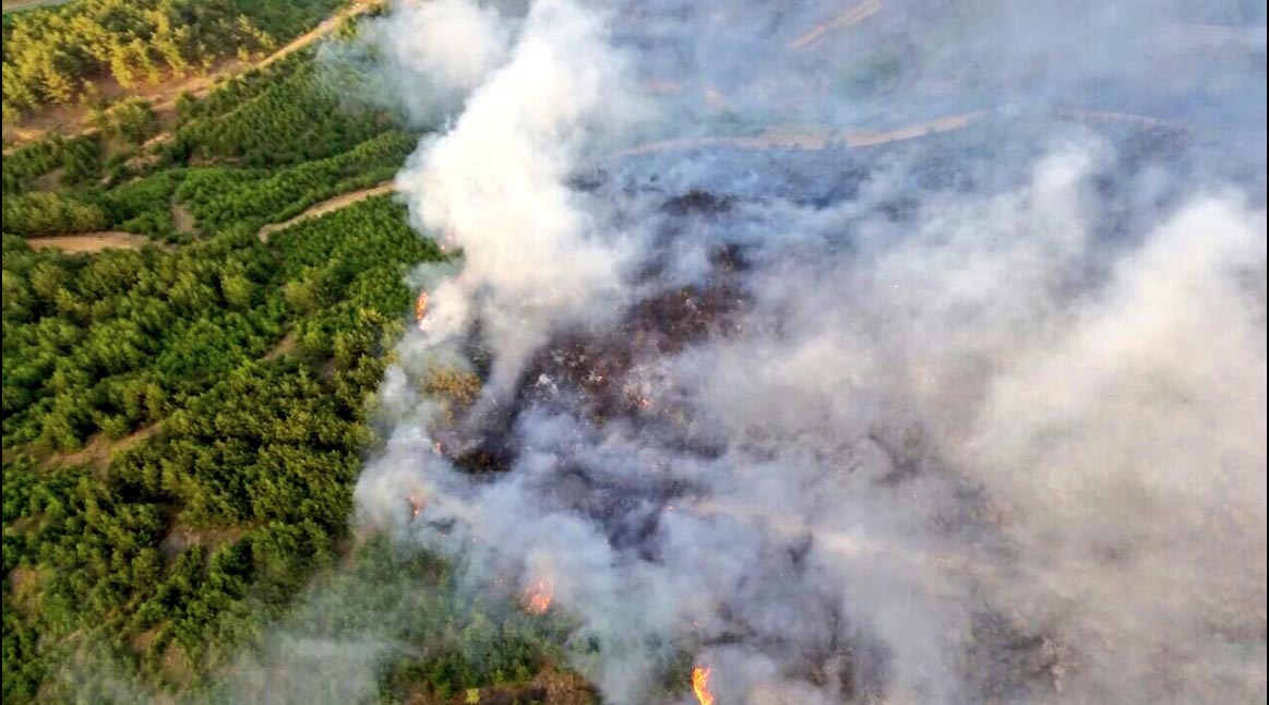 Edirne’nin Keşan ilçesine bağlı Sazlıdere köyü yakınlarındaki ormanlık alanda dün