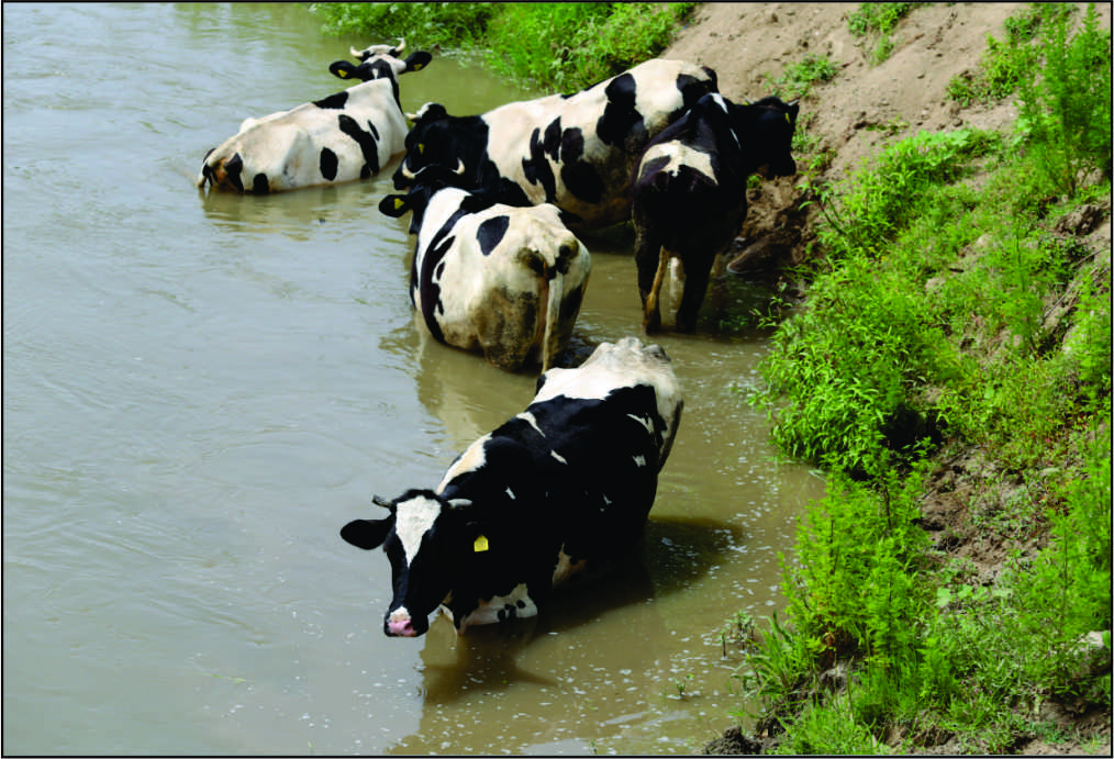 Edirne’de zaman zaman 40 dereceye yaklaşan hava sıcaklıkları insanları olduğu