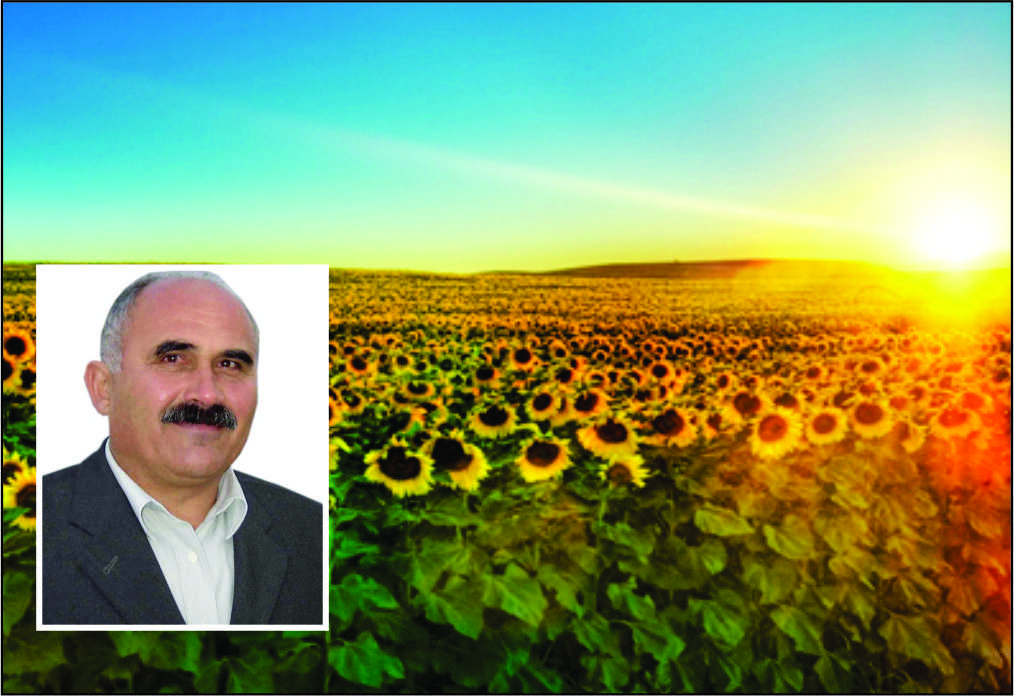 272 sayılı yağlı tohumlar tarım satış kooperatifi rekolte beyannameleri başvuruların