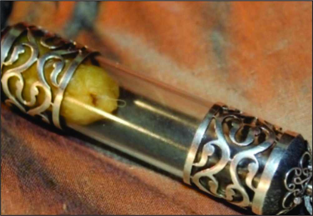 Türkiye’nin ve dünyanın birçok yerinde bulunan peygamber Efendimizin Sakal-ı Şerif’i