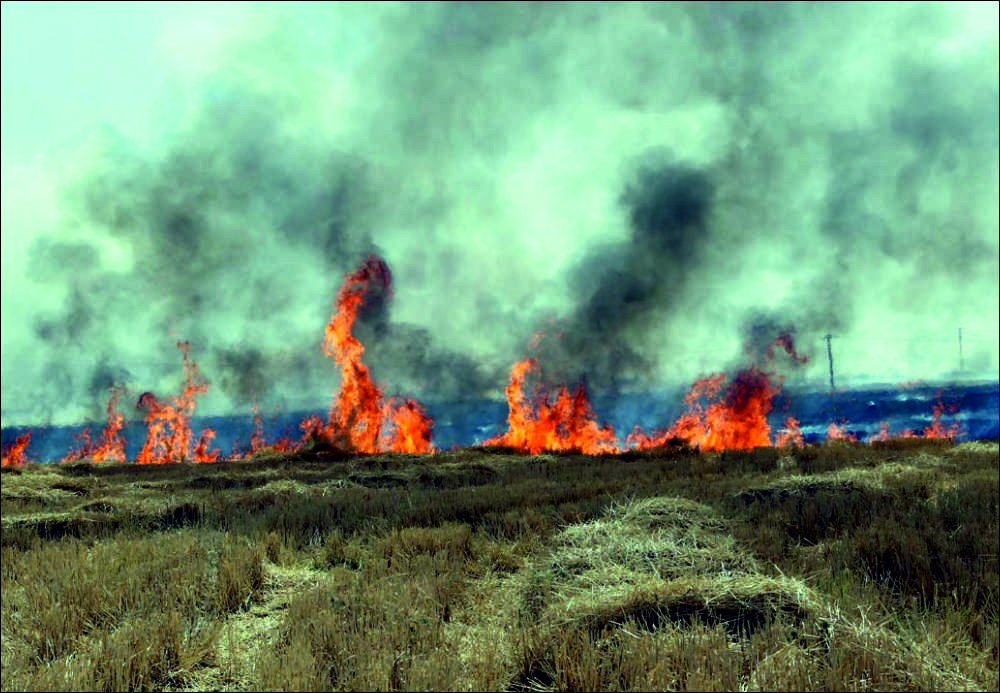 Çevre ve Orman Bakanlığı, özellikle Mayıs-Ekim ayları arasında yoğunluk kazanan