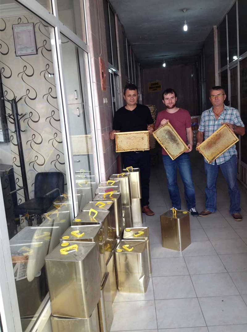 Ayçiçek tarlalarında kurulu olan arı sandıklarındaki balları toplamaya başlayan bal