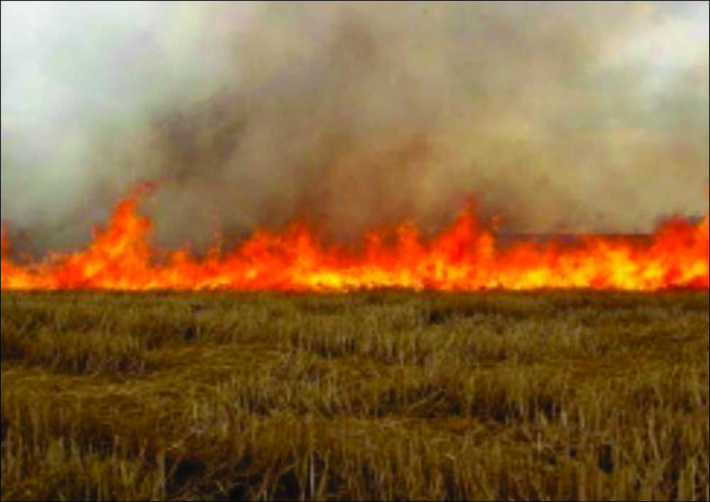 İlçe Gıda, Tarım ve Hayvancılık Müdürü Halil Karahan sürümü yapılmayan