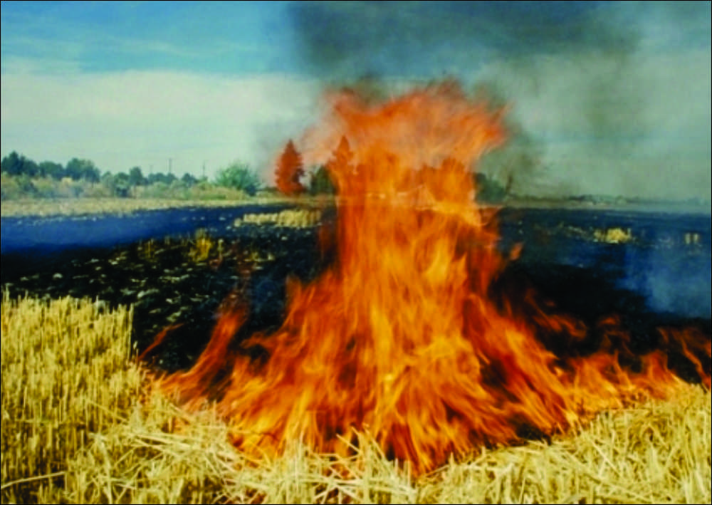 Uzunköprü Sipahi Köyünde Feyzullah Akkaya isimli şahıs tarlasında anız yakmak