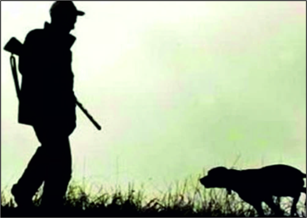 2016-2017 av sezonu 13 Ağustos 2016 Cumartesi günü itibariyle başladı.