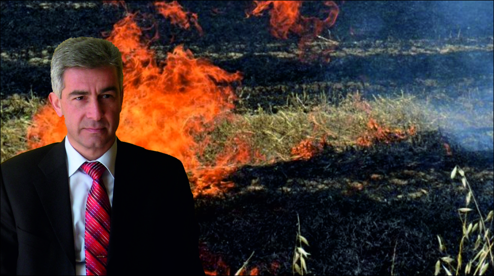 İlçe Gıda, Tarım ve Hayvancılık Müdürü Halil Karahan sürümü yapılmayan