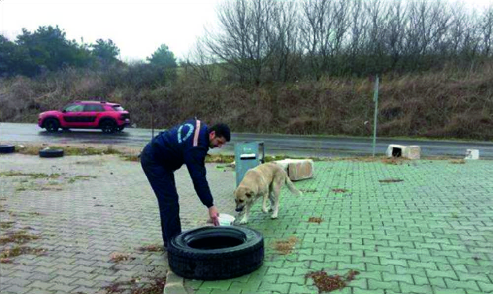 Uzunköprü Belediyesi Veterinerlik İşleri Müdürlüğünce aşırı soğuklar nedeniyle ilçemizin farklı