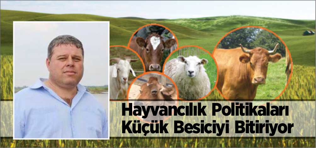 Meriç Ziraat Odası Başkanı Ömer Ergin, Türkiye’de uygulanan yanlış hayvancılık