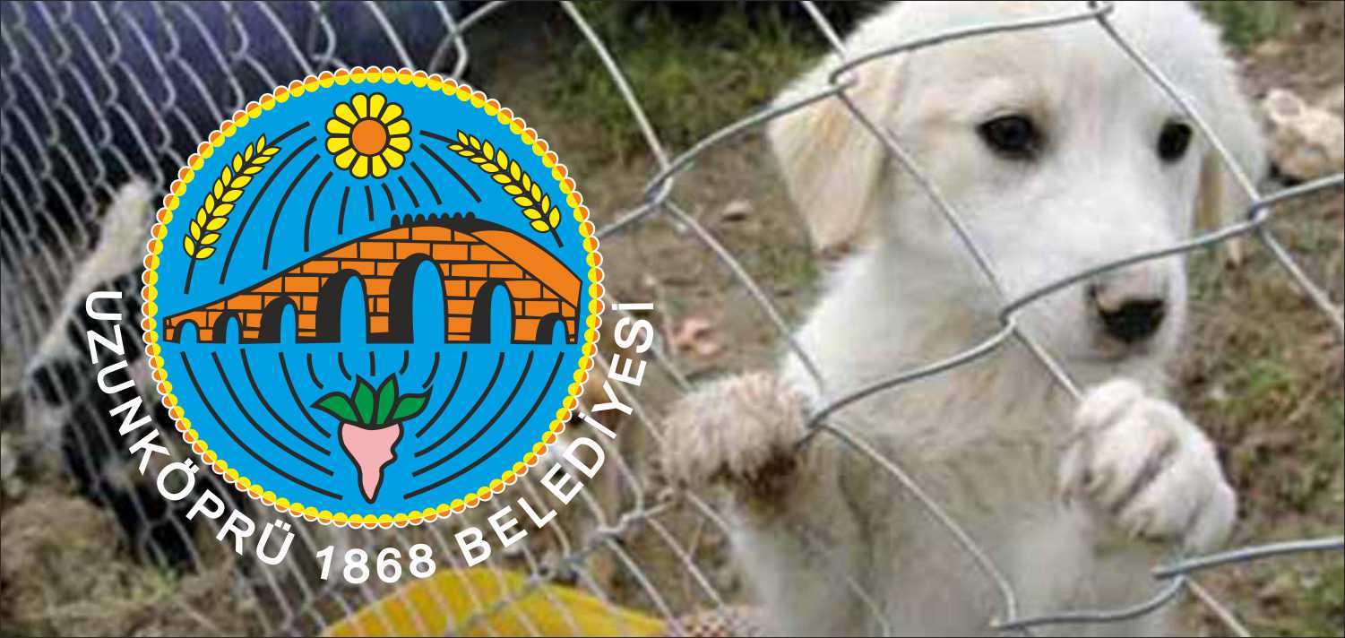 Uzunköprü Belediyesi tarafından hazırlanan “Sahipsiz Sokak Hayvanları Geçici Bakımevi” projesi