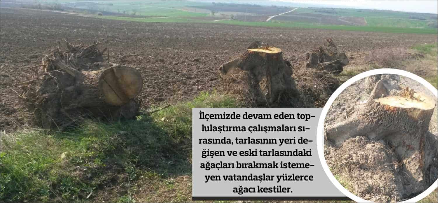 İlçemizde devam eden toplulaştırma çalışmaları sırasında, tarlasının yeri değişen ve