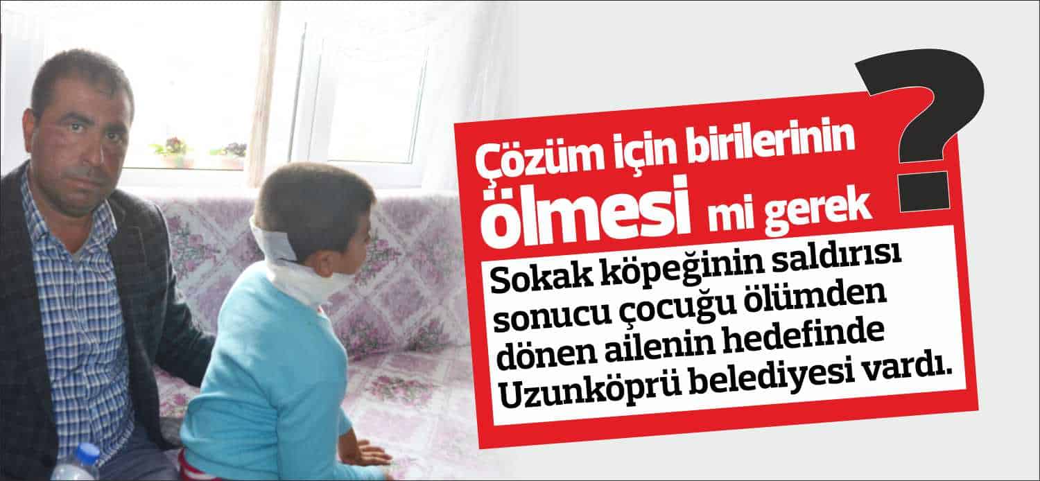 Sokak köpeğinin saldırısı sonucu çocuğu ölümden dönen ailenin hedefinde Uzunköprü