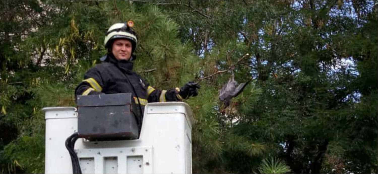 Yangın müdahale ve önlemenin yanında; su baskınlarına müdahale etmek, doğal