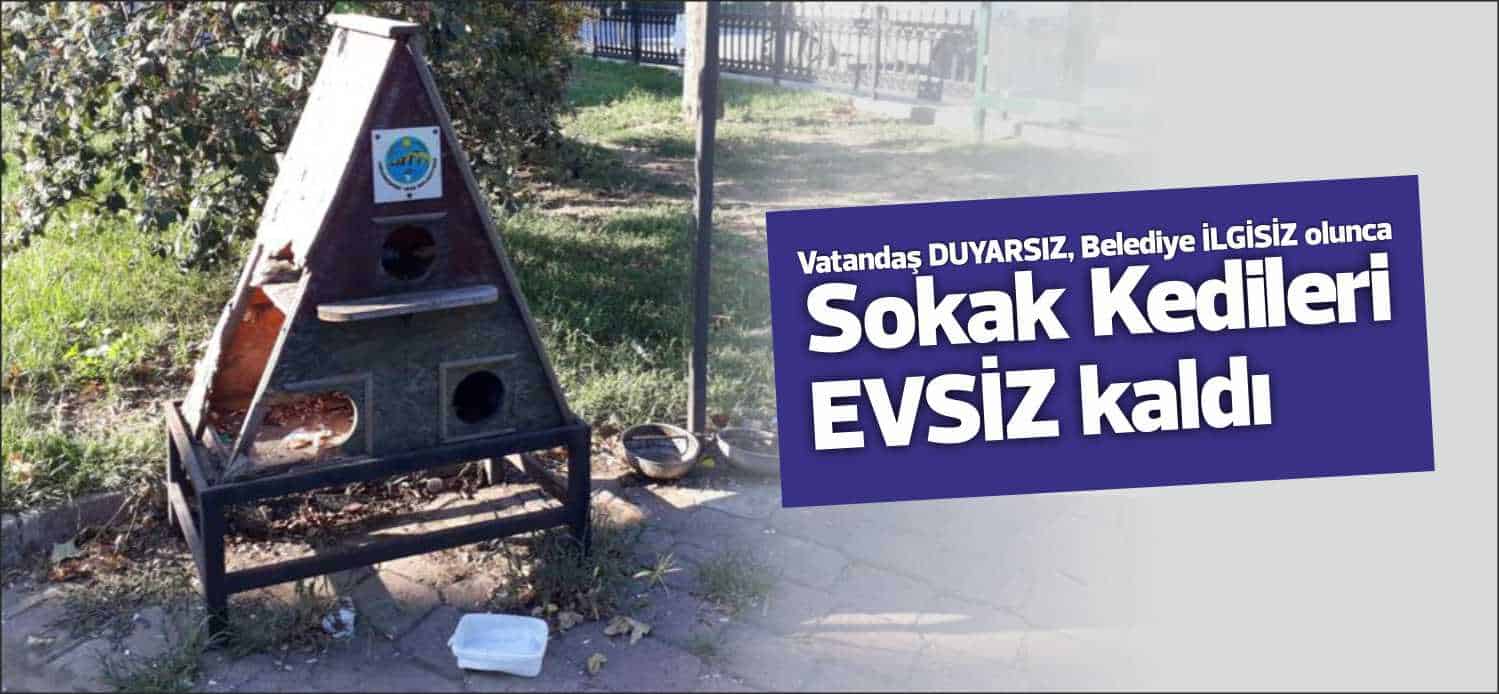 Sokak kedilerinin dış etmenlerden korunabilmesi adına Uzunköprü Belediyesi tarafından yapılan