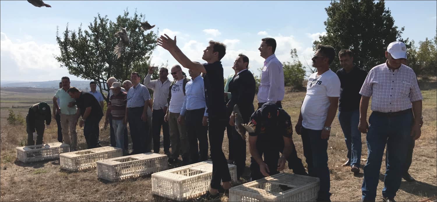 Orman ve Su İşleri Bakanlığına; Doğa Koruma ve Milli Parklar