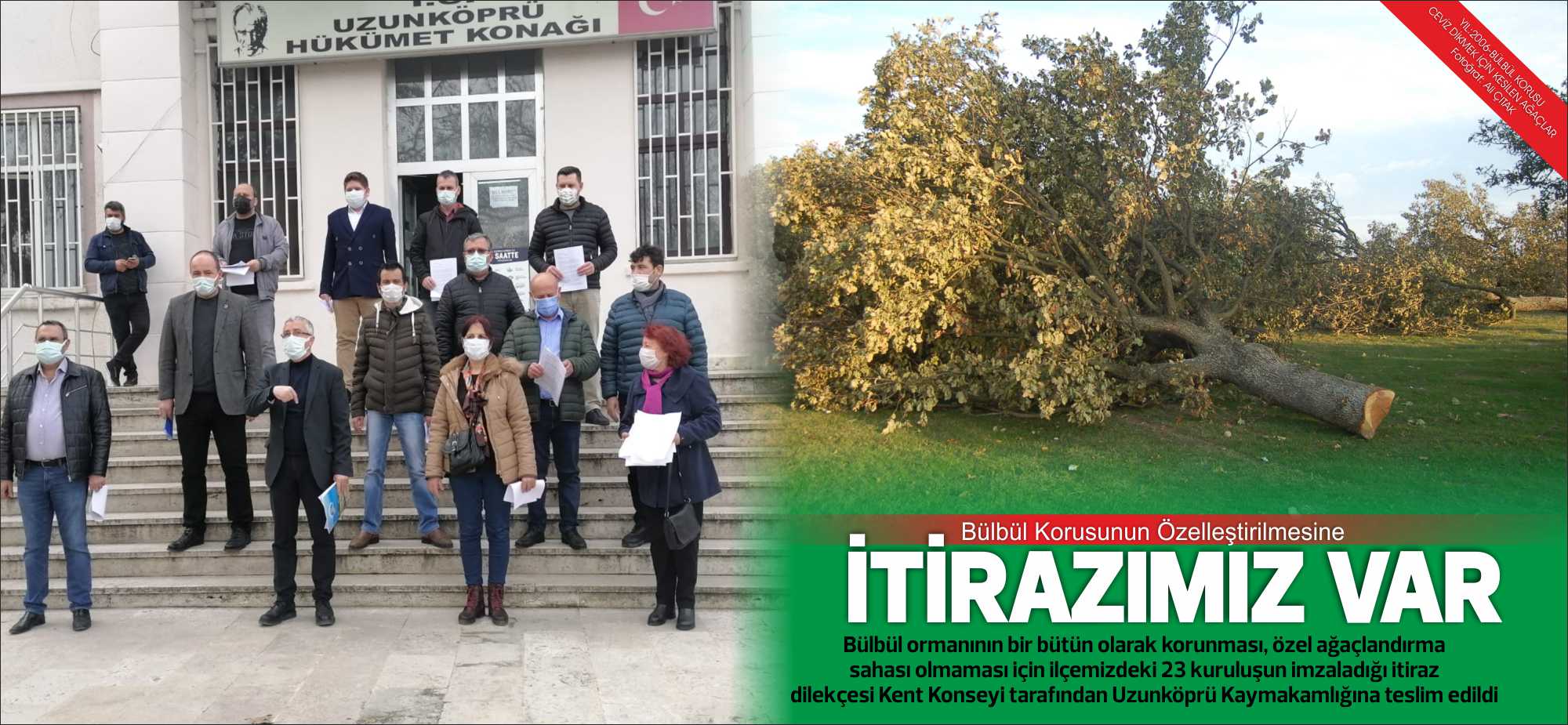 Bülbül ormanının bir bütün olarak korunması, özel ağaçlandırma sahası olmaması