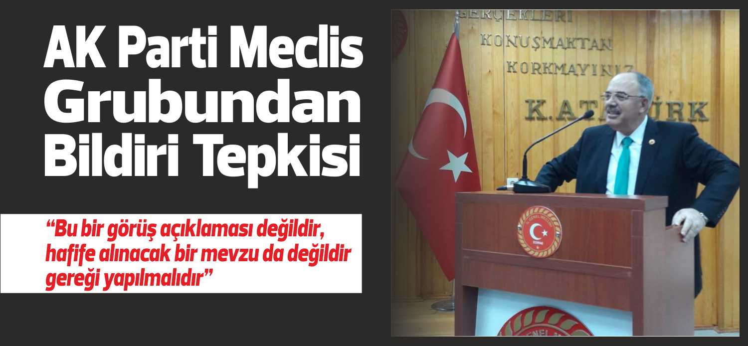 Ak Parti Grup Başkan Vekili Nedret Akbulut;  “Bu bir görüş