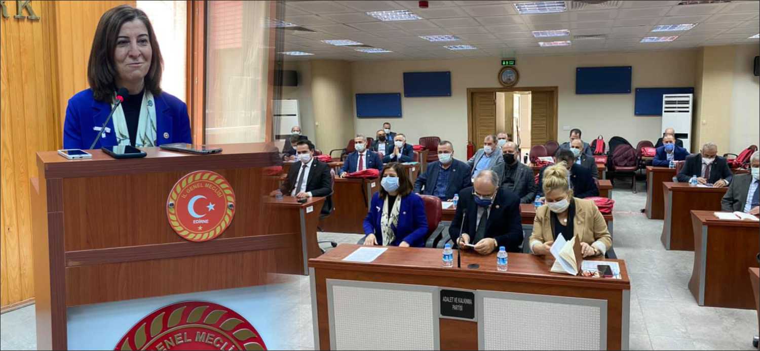 TBMM Kadın Erkek Fırsat Eşitliği Komisyonu (KEFEK) Başkanı ve AK