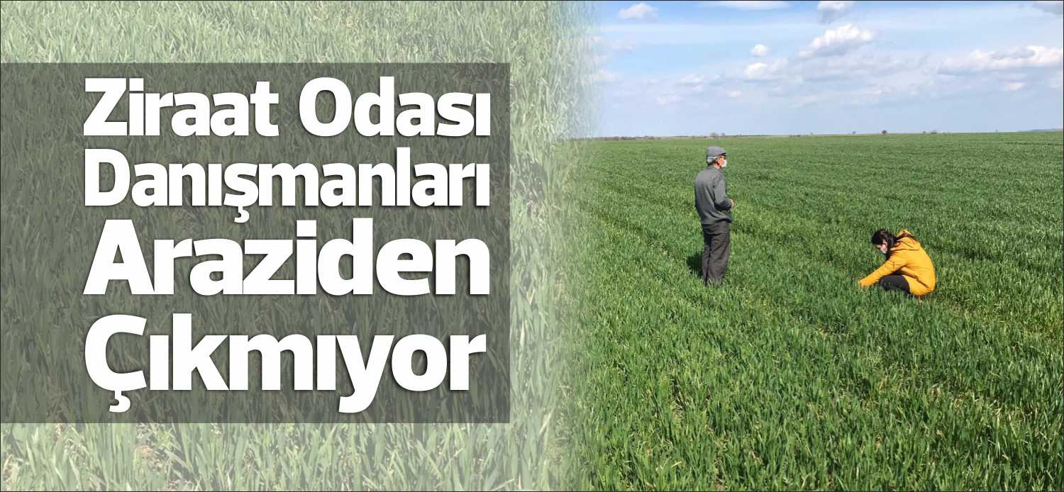 Bünyesine kattığı Tarım Danışmanları ile üreticilere 7 gün 24 saat