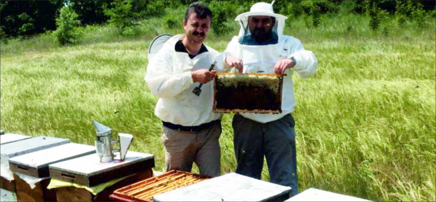 Yıllık 110 bin ton civarında gerçekleşen bal üretimiyle Çin’in ardından