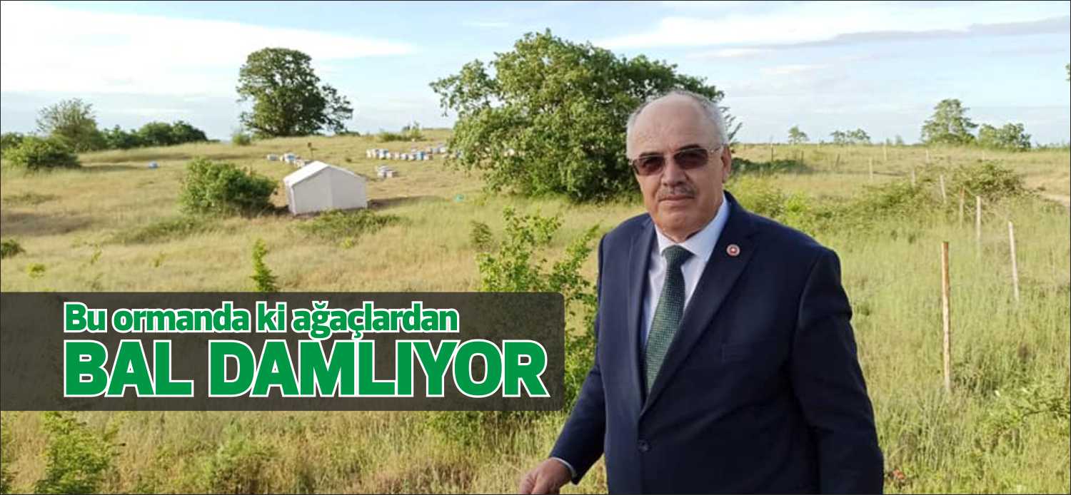 Kırkkavak Köyü’nde bölgedeki arıcılığın gelişmesi adına  hayata geçirilen Bal Ormanı projesi