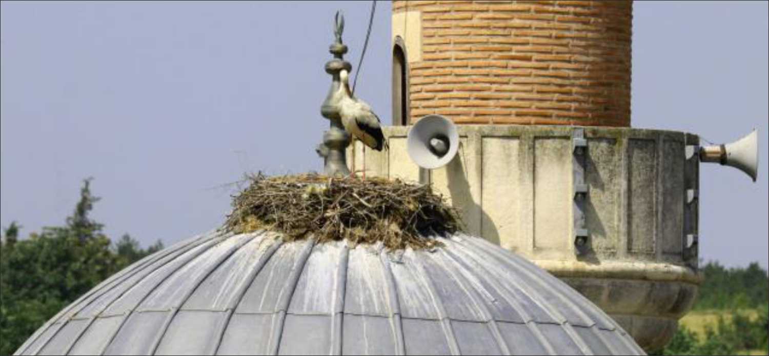 İlçemize bağlı Kırkkavak köyünde bulunan yaklaşık 6 asırlık Gazi Turhanbey