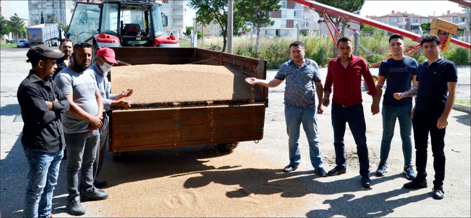 2021 yılı hasat sezonunun yeni mahsul ilk buğdayı Uzunköprü Ticaret