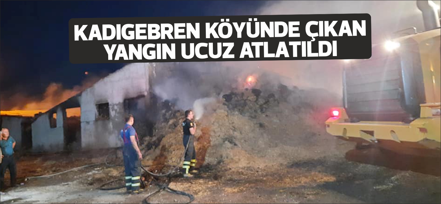 Son dönemde yurdumuzun dört bir yanında yer alan orman yangınları