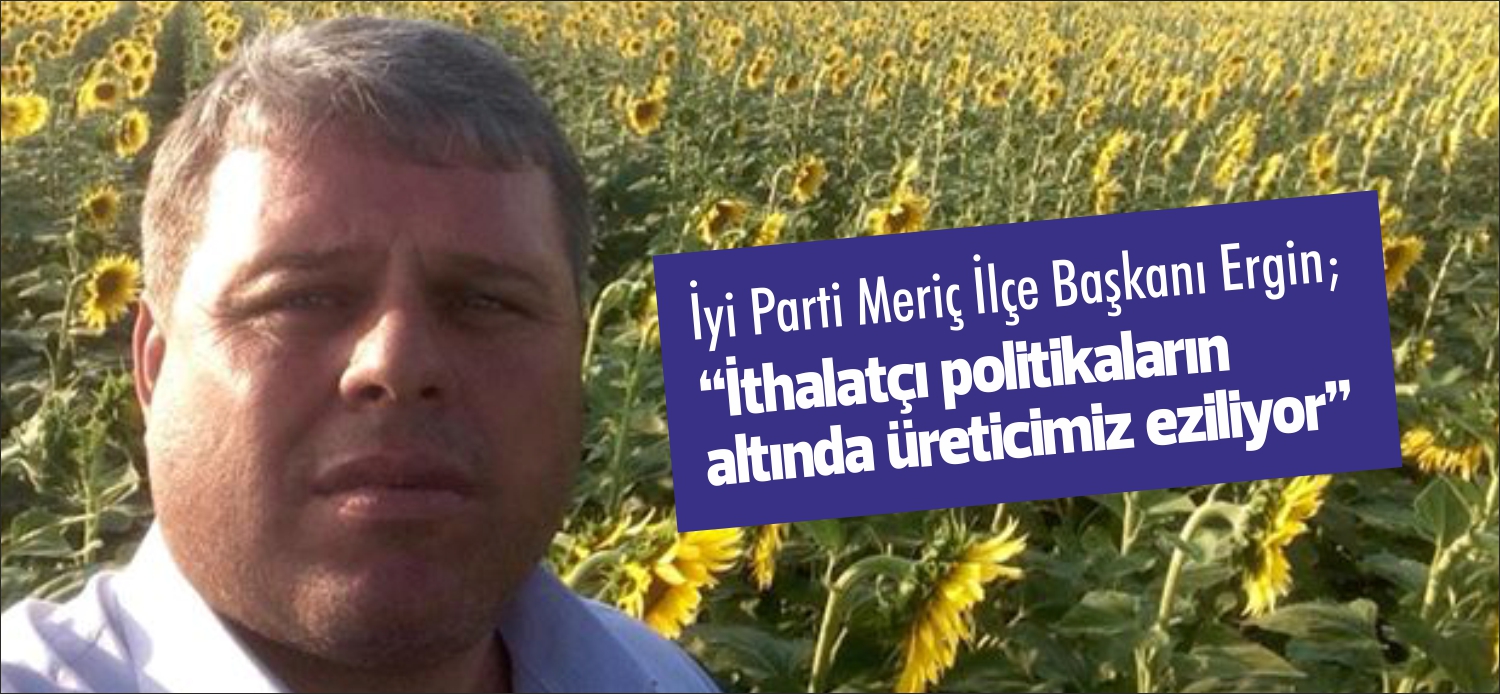 İYİ Parti Meriç İlçe Başkanı Ömer Ergin, üreticinin ayçiçeği hasadı