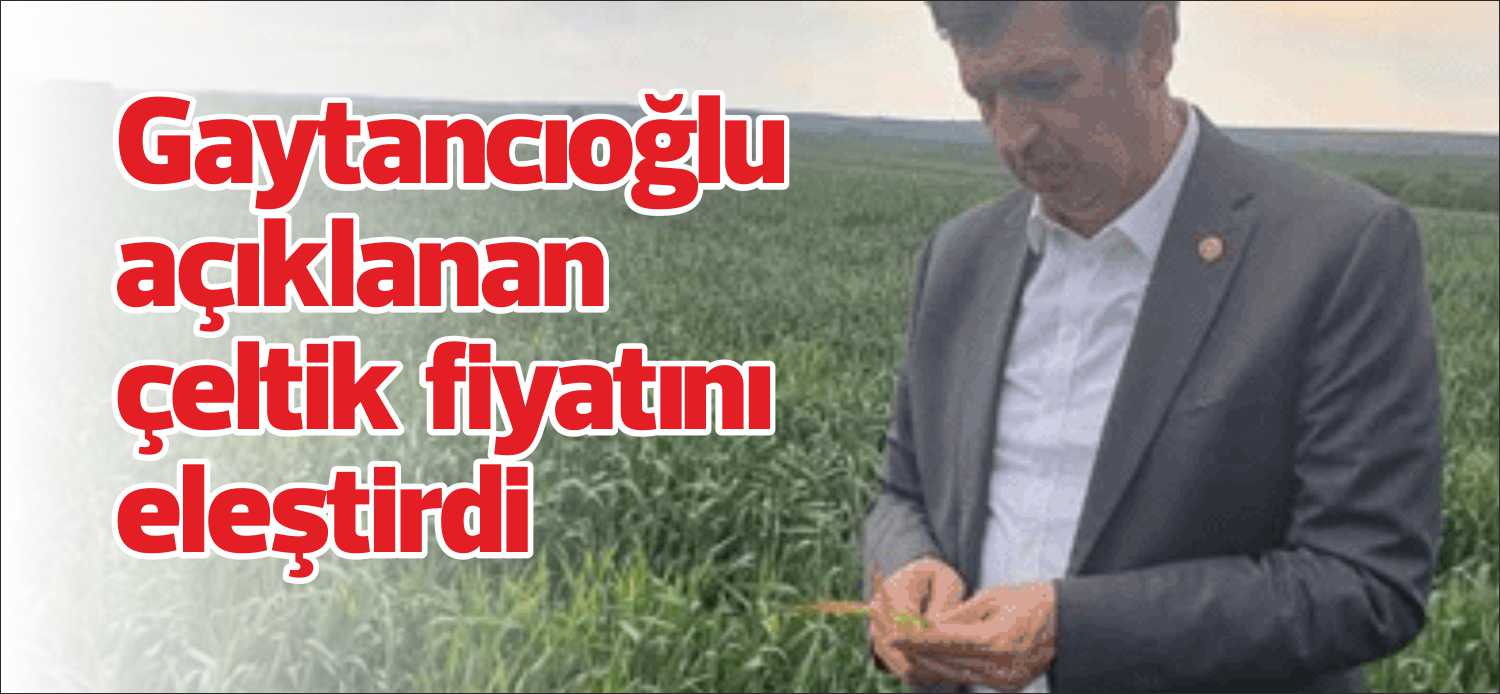 Cumhuriyet Halk Partisi (CHP) Edirne Milletvekili Okan Gaytancıoğlu, açıklanan çeltik