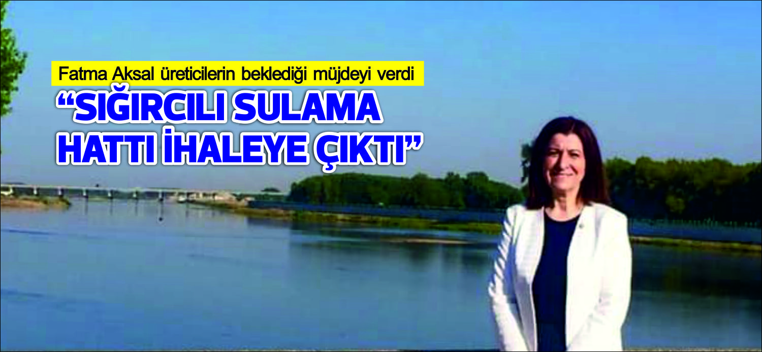 TBMM Kadın Erkek Fırsat Eşitliği Komisyonu (KEFEK) Başkanı AK Parti