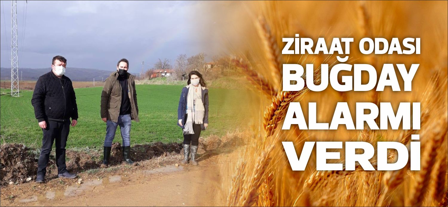 Uzunköprü Ziraat Odası başkanlığı tarafından rutin olarak yapılan saha çalışmalarında