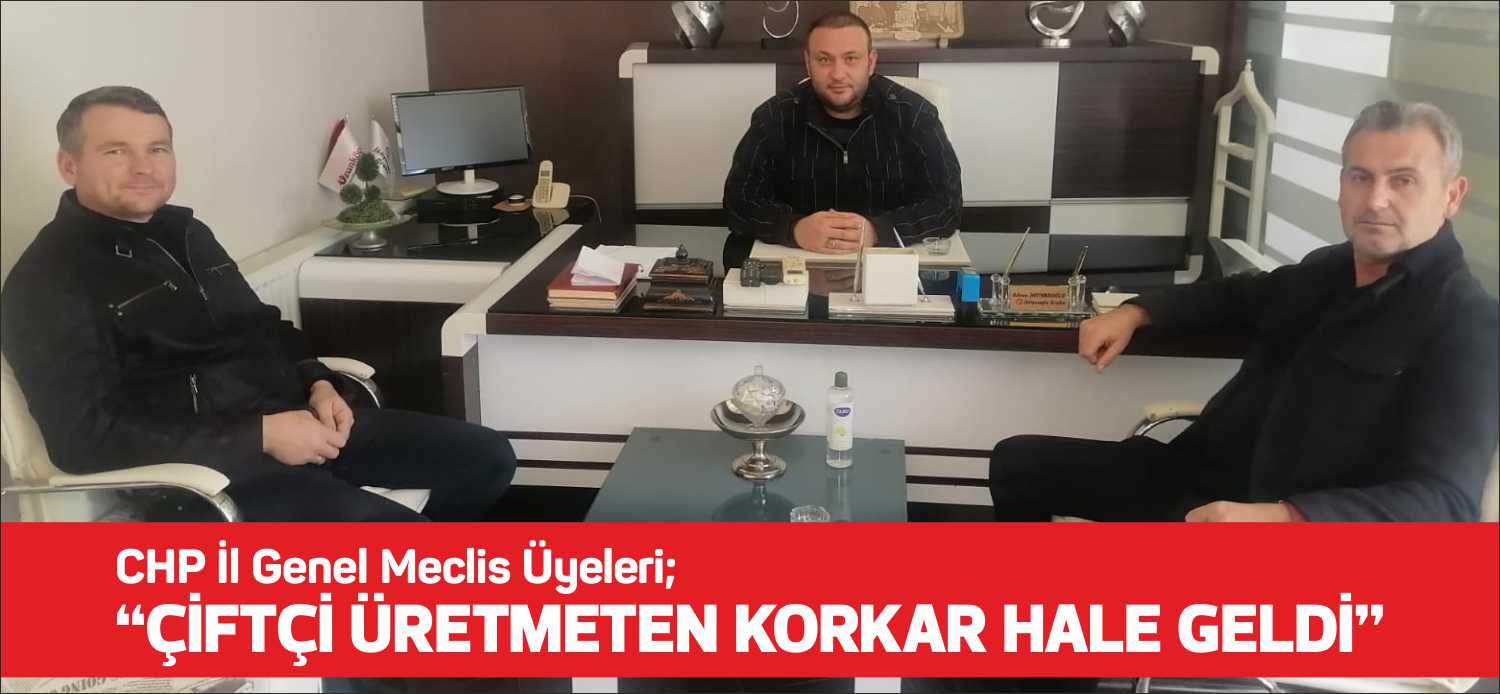Cumhuriyet Halk Partisi İl Genel Meclis üyeleri Ahmet Sarıgül ve
