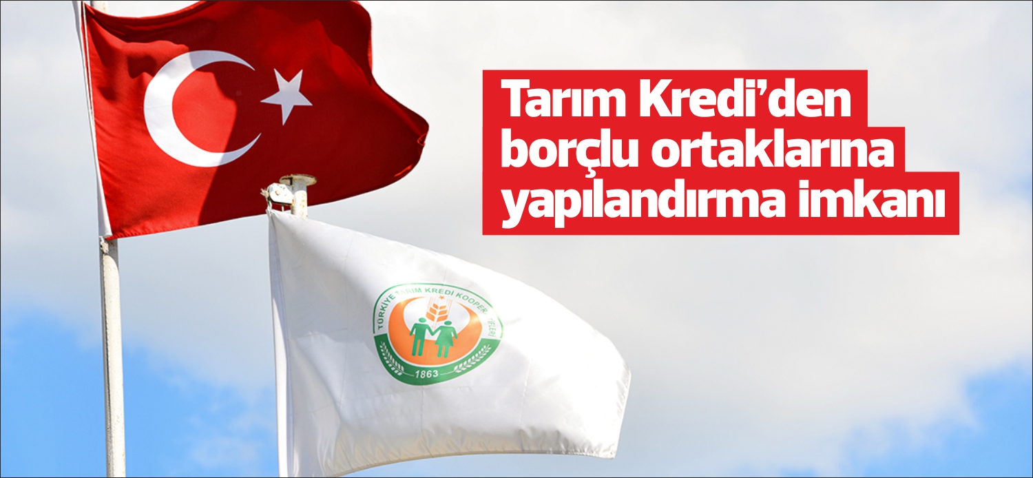 Türkiye Tarım Kredi Kooperatifleri, 31 Aralık 2020 tarihi ve öncesi