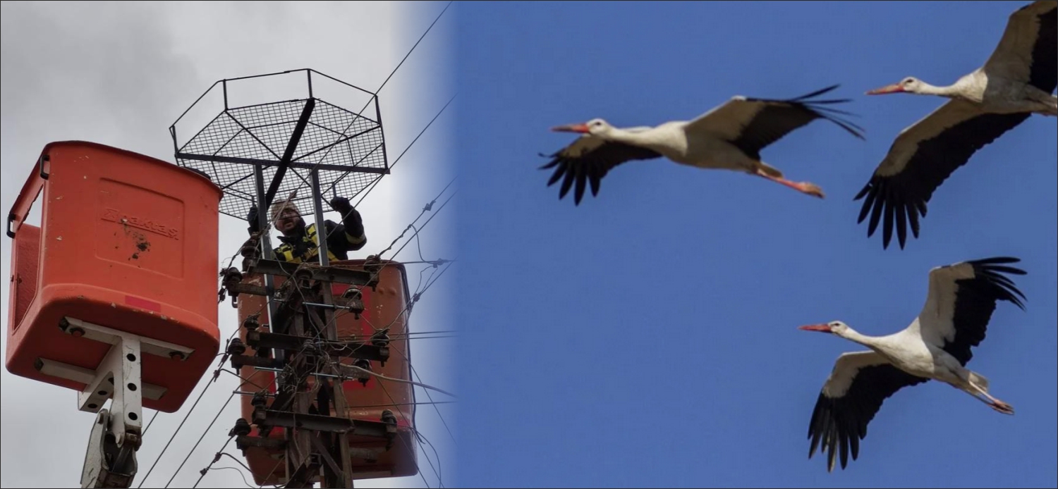 Trakya Elektrik Dağıtım A.Ş (TREDAŞ) ve Edirne Doğa Koruma ve
