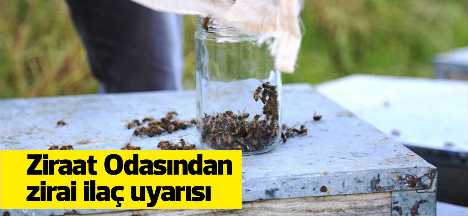 Uzunköprü Ziraat Odası Başkanlığı, özellikle bal arıları başta olmak üzere