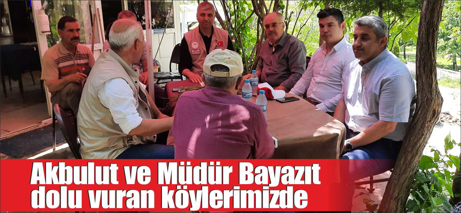 İlçemize bağlı Elmalı, Sipahi, Sultanşah ve Bıldır köylerinde 16 Mayıs