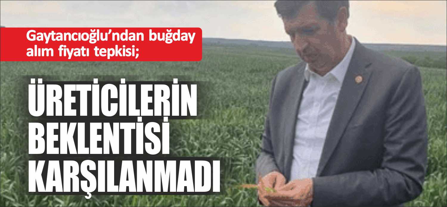 Cumhuriyet Halk Partisi Edirne Milletvekili Okan Gaytancıoğlu, Cumhurbaşkanı Recep Tayyip