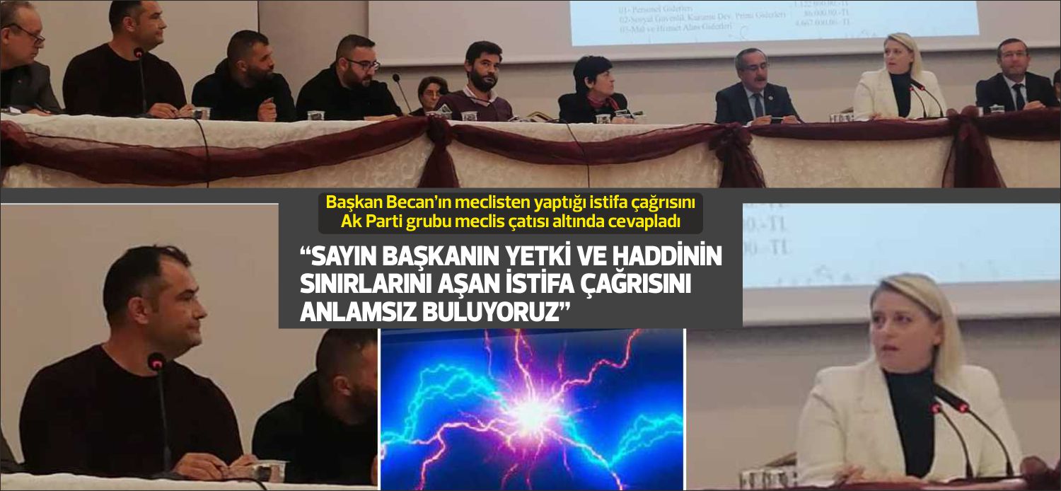 ““ SAYIN BAŞKANIN YETKİ VE HADDİNİN SINIRLARINI AŞAN İSTİFA ÇAĞRISINI