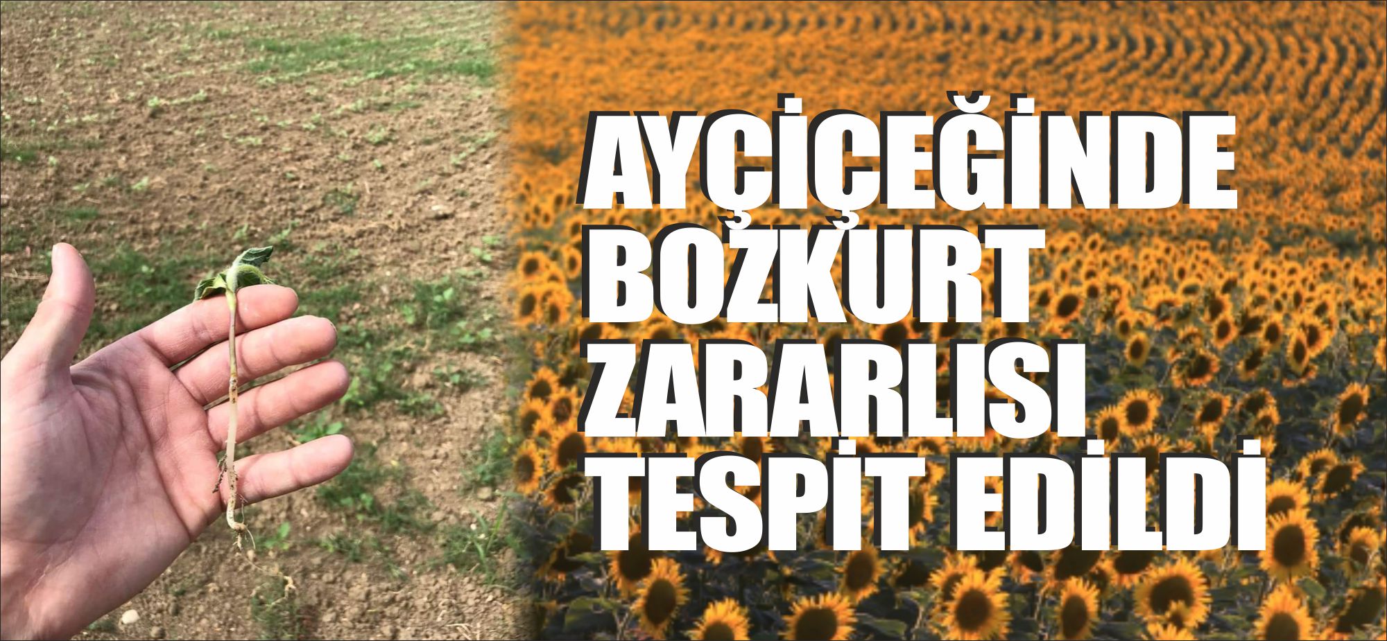 Uzunköprü’ye bağlı 53 köyü rutin olarak ayda en az 1