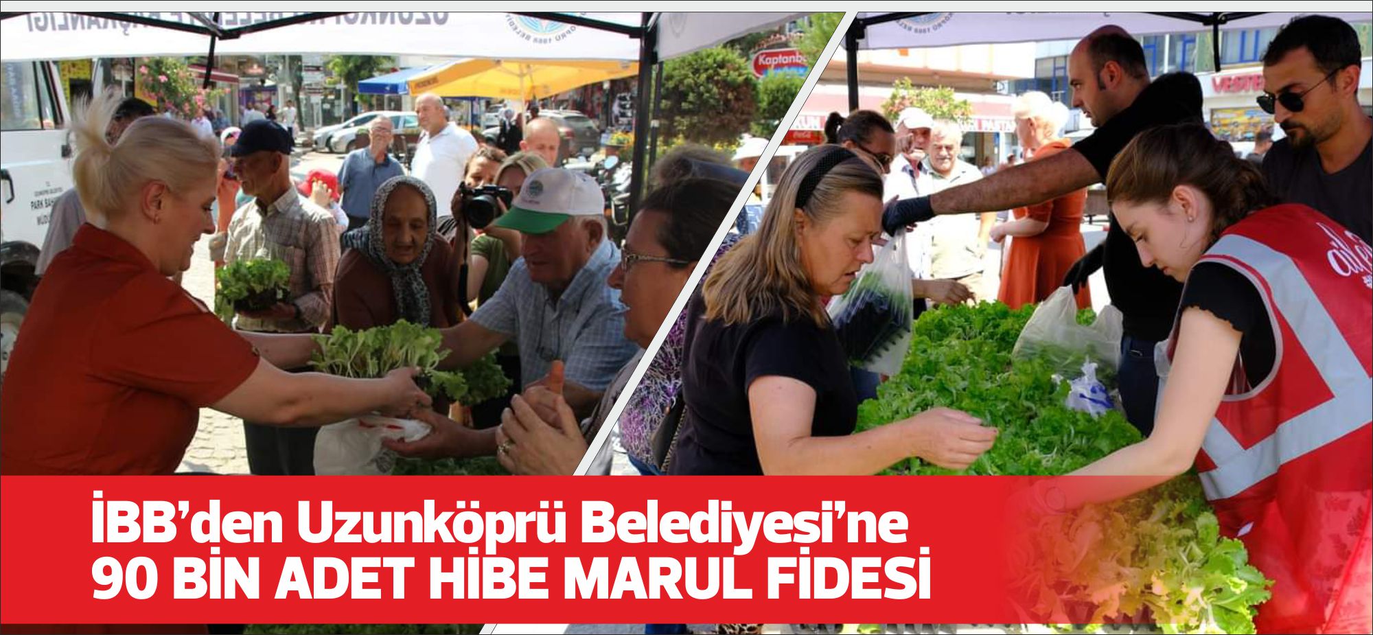 İstanbul Büyükşehir Belediyesi’nin ücretsiz kışlık sebze fide destekleme projesi kapsamında