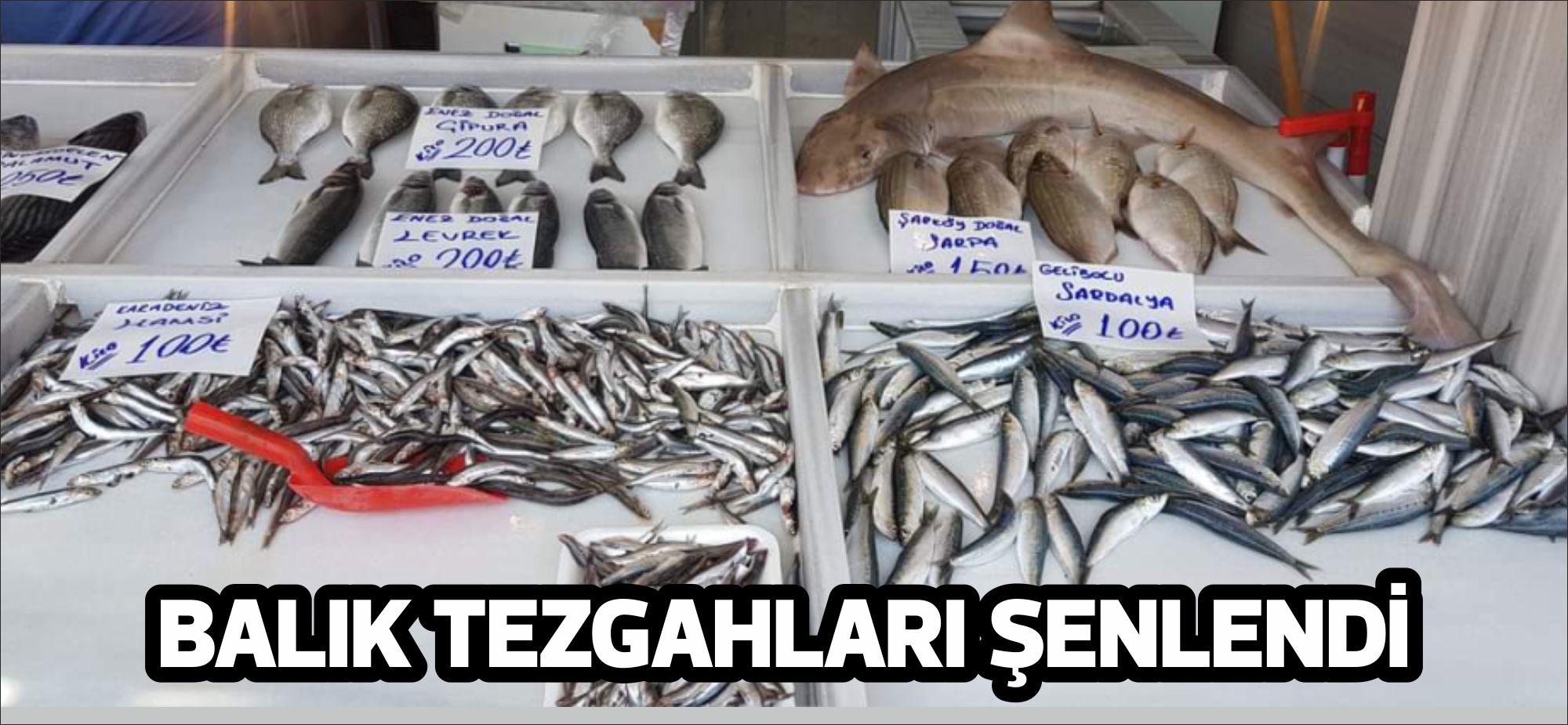 Denizlerde 1 Eylül itibariyle av yasağının kalkmasıyla birlikte ilçemizdeki balık