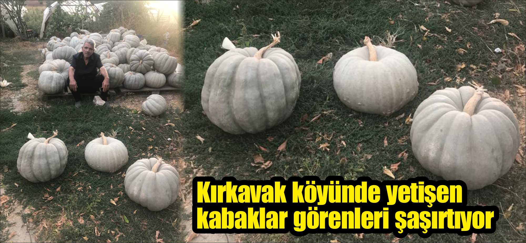 Sebze-meyvecilik denince ilçemizde ilk akla gelen köy olan Kırkavak köyü
