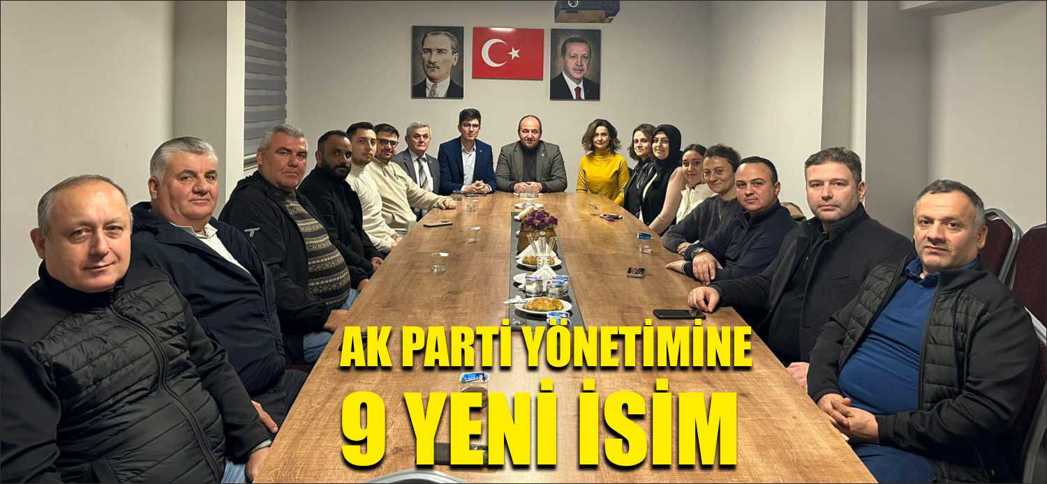 Mahalli idareler seçimlerinde belediye meclis üyeliği, i genel meclis üyeliği