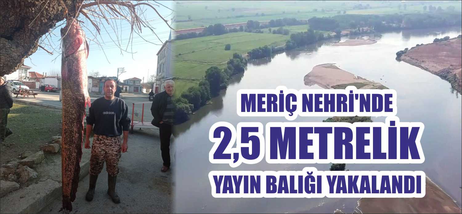 Edirne Meriç ilçesi Küplü beldesinde bir balıkçı Meriç Nehri’nde boyu