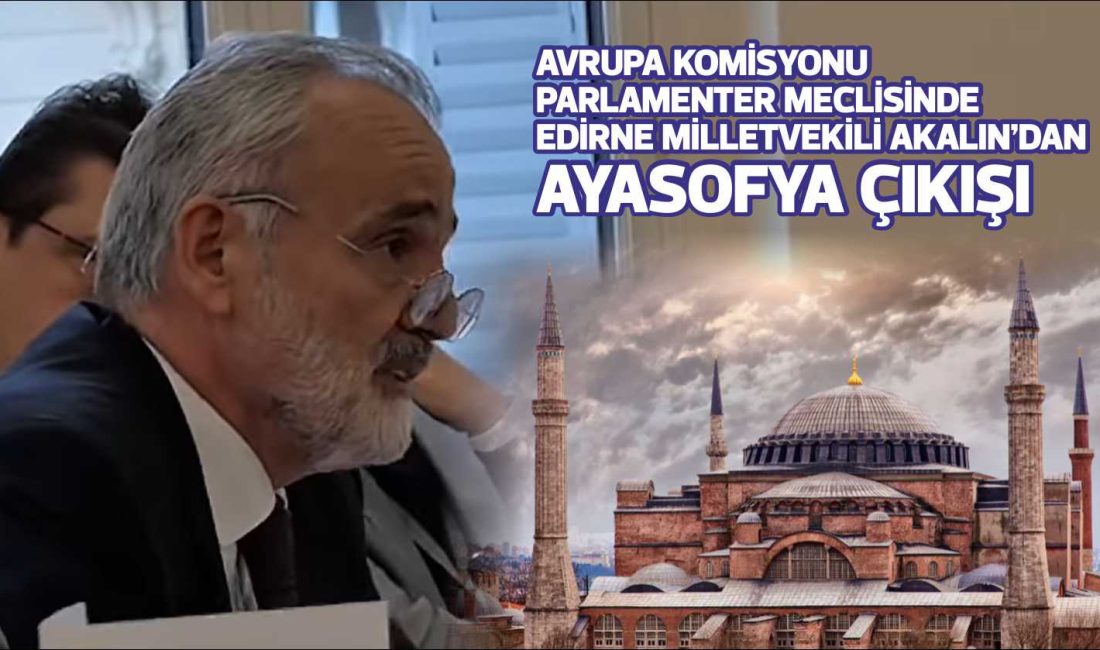 İYİ Parti Edirne Milletvekili Prof. Dr. Mehmet Akalın, Avrupa Konseyi