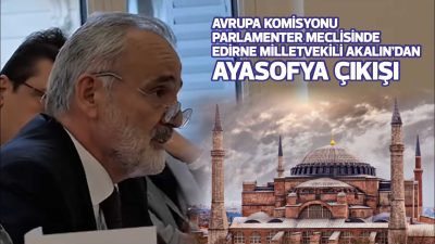 İYİ Parti Edirne Milletvekili Prof. Dr. Mehmet Akalın, Avrupa Konseyi