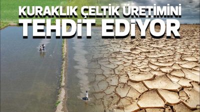 Edirne, Türkiye’nin çeltik üretiminde lider konumda olmasına rağmen, bu yıl