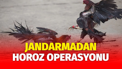Süleymanpaşa İlçe Jandarma Komutanlığı ekipleri, bir çiftlikte horoz dövüşü yapıldığı