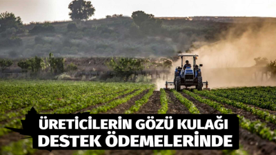 2025 yılı Mart ayının son günlerine gelinmesine rağmen, mazot ve